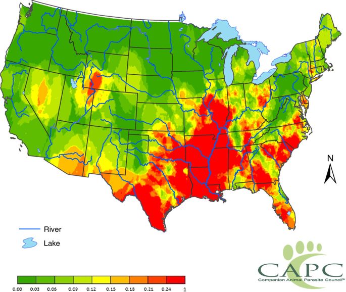 685x578 Key Factors Influencing Canine Heartworm, Dirofilaria Immitis