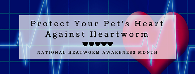 630x240 National Heartworm Awareness Month