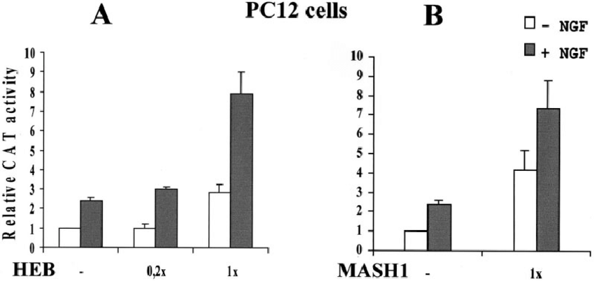 850x403 Vgf Transcription Is Activated