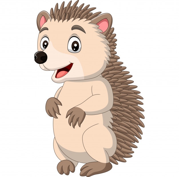 Hedgehog Vectors, Photos And Free Download 626x620 Hedgehog Vectors, Photos And Free Download