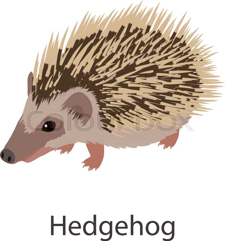 Hedgehog Icon Isometric Illustration Stock Vector Colourbox 747x800 Hedgehog Icon Isometric Illustration Stock Vector Colourbox