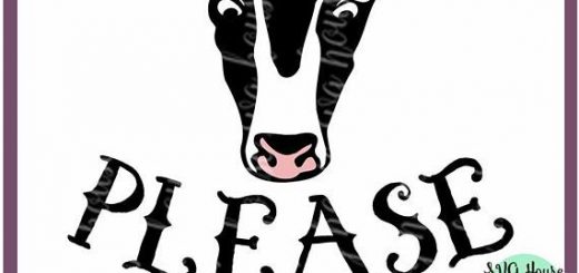 Cow 520x245 Cow