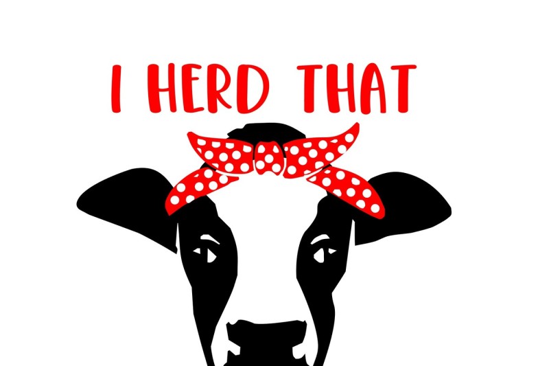 Free Heifer Cow With Bandana Crafter 800x533 Free Heifer Cow With Bandana Crafter