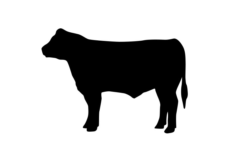 Heifer Vector Silhouette 800x566 Heifer Vector Silhouette