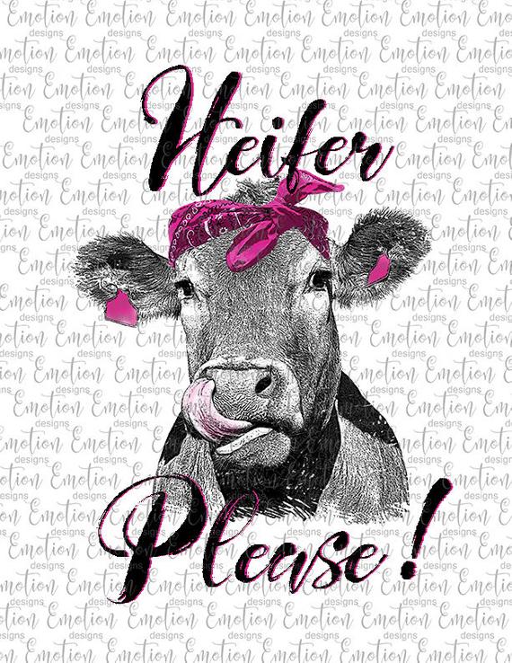 Huge Collection Of 'heifer Clipart' Download More Than Images 570x738 Huge Collection Of 'heifer Clipart' Download More Than Images