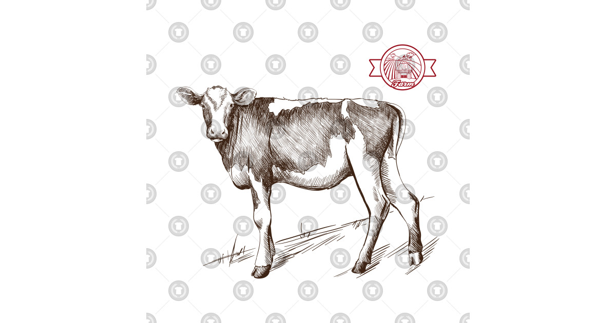 Young Heifer Grazing Cow Sketch 1200x630 Young Heifer Grazing Cow Sketch
