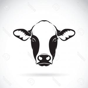 Cow Cow Clipart Cow Face Bandanna Heifer 300x300 Cow Cow Clipart Cow Face Bandanna Heifer