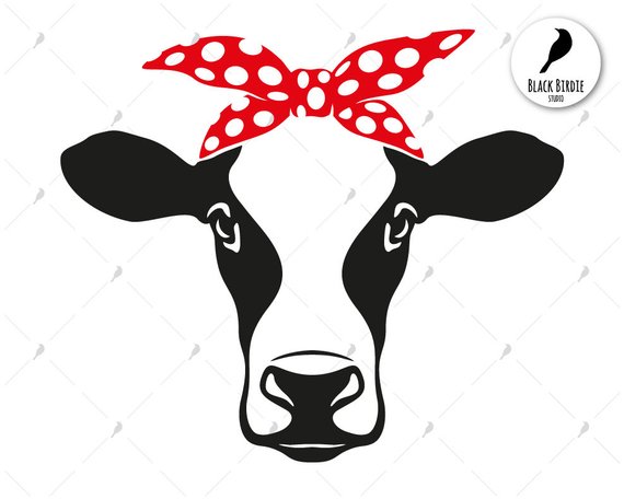 Cow Head Bandana Cow Cow Bandana Farm Heifer 570x456 Cow Head Bandana Cow Cow Bandana Farm Heifer