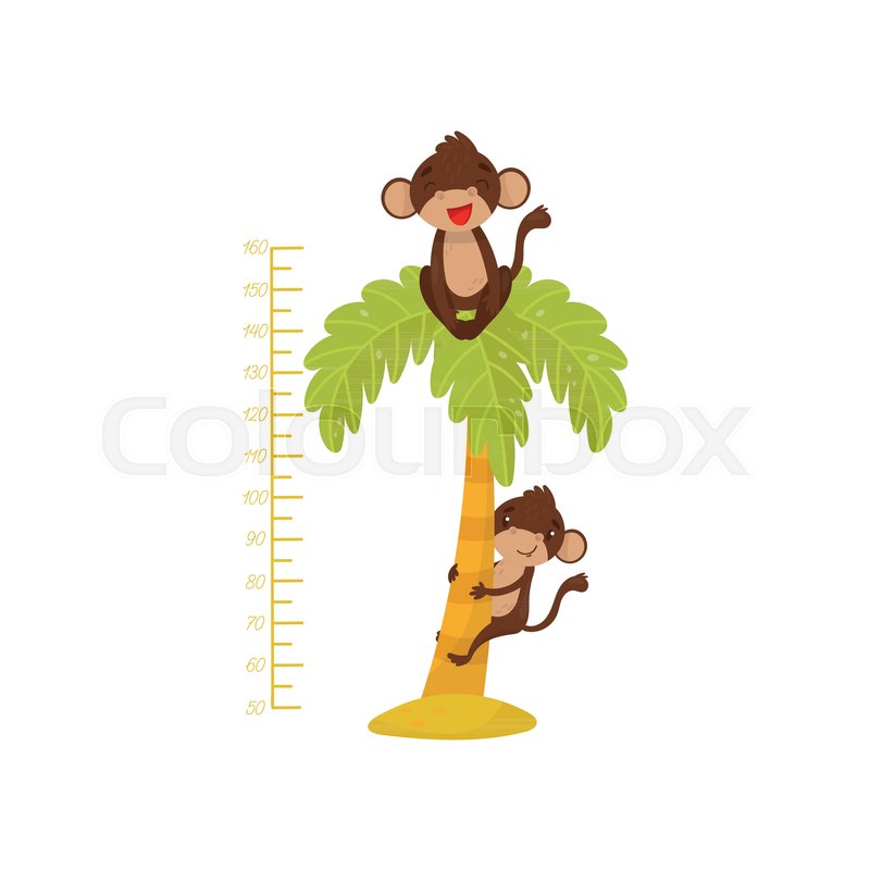 Height Chart For Children And Two Stock Vector Colourbox 800x800 Height Chart For Children And Two Stock Vector Colourbox
