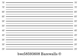 Mugshot Height Chart Posters And Art Prints Barewalls 270x194 Mugshot Height Chart Posters And Art Prints Barewalls