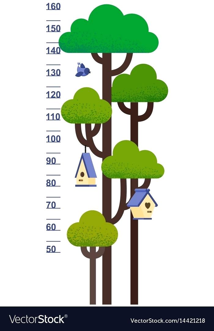 Kids Height Chart With Tree Vector Image Interior Design Software 700x1080 Kids Height Chart With Tree Vector Image Interior Design Software