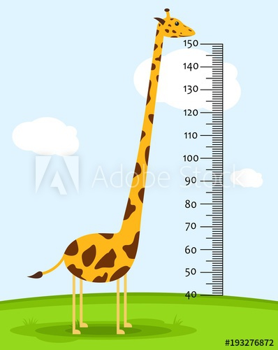 Meter Wall Or Baby Scale Of Growth With Giraffe On The Grass Kids 398x500 Meter Wall Or Baby Scale Of Growth With Giraffe On The Grass Kids