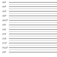 Right Mugshot Height Chart 240x240 Right Mugshot Height Chart