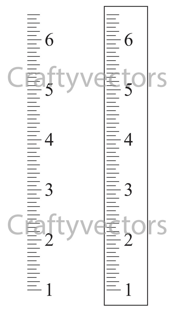 Ruler Growth Chart Vector Template 570x1027 Ruler Growth Chart Vector Template