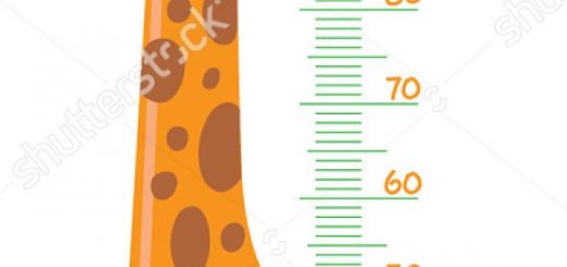 Vector Fisica Cheerful Funny Giraffe With Long Neck Height Chart 520x245 Vector Fisica Cheerful Funny Giraffe With Long Neck Height Chart