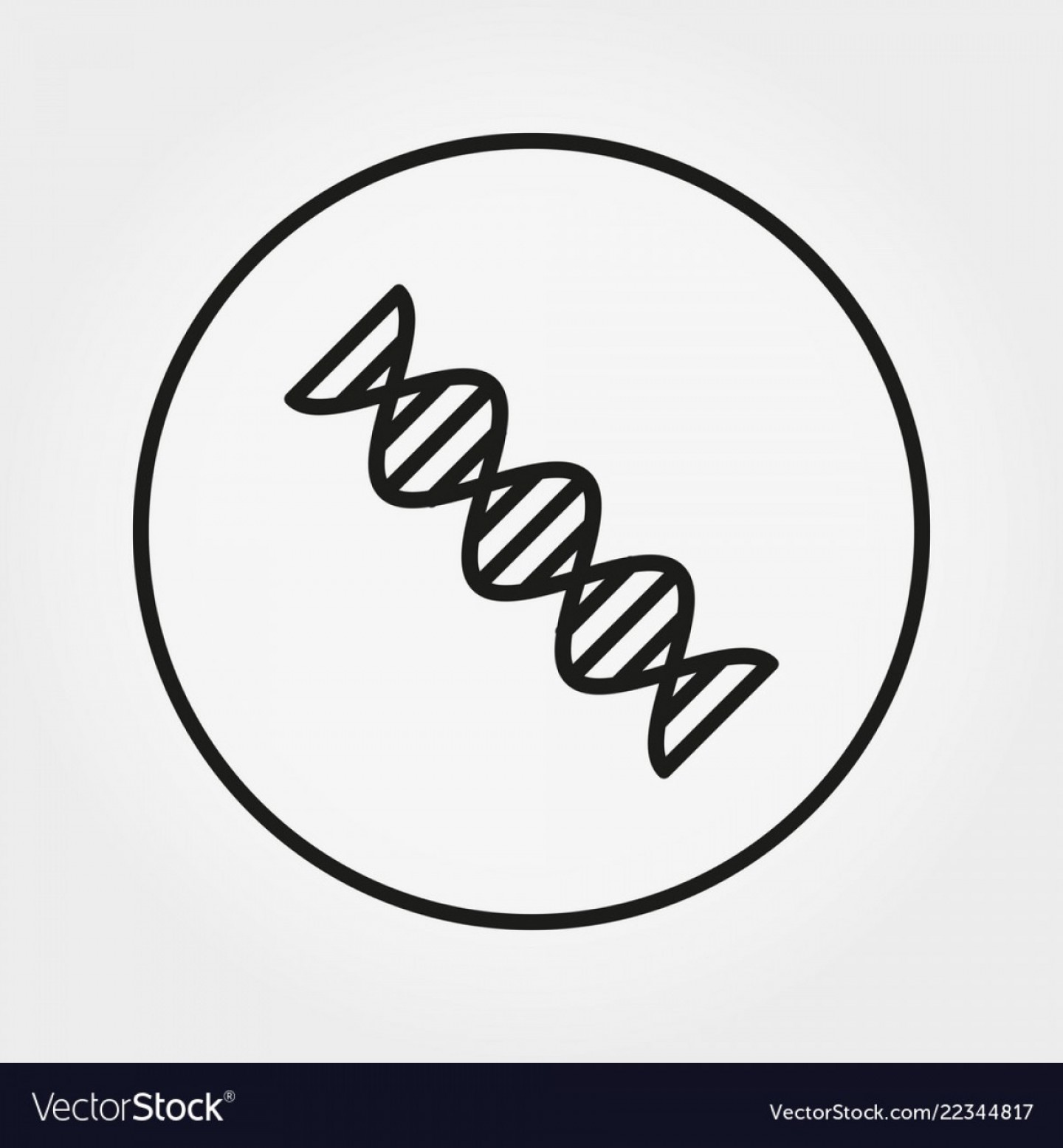 1440x1555 Helix Vector Equation Hoodamathrun