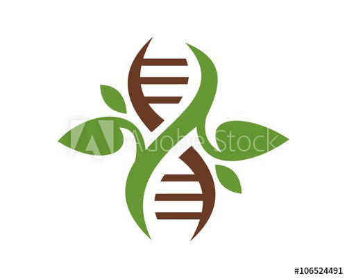 500x400 Living Helix Logo Vector