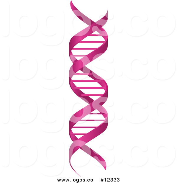 600x620 Royalty Free Vector Logo Of A Pink Double Helix Dna Cloning Strand