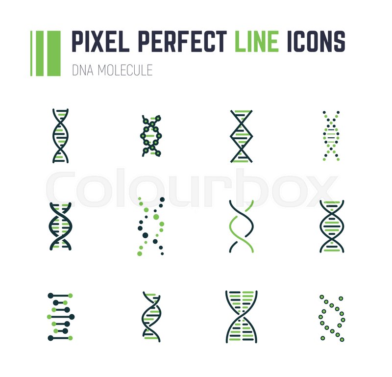 800x769 Set Of Line Style Dna Molecule Stock Vector Colourbox