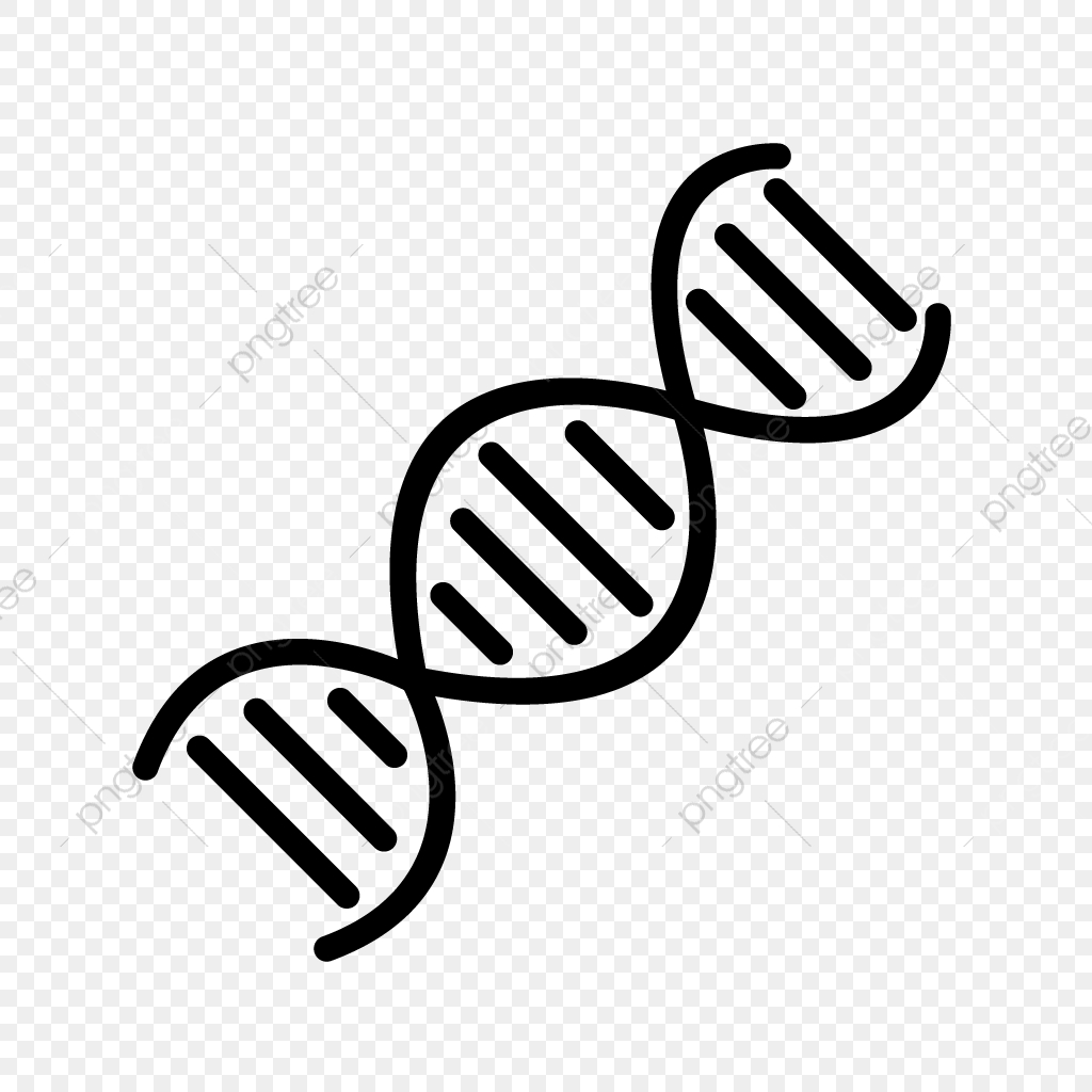 1024x1024 Vector Dna Icon, Dna, Genetics, Helix Png And Vector