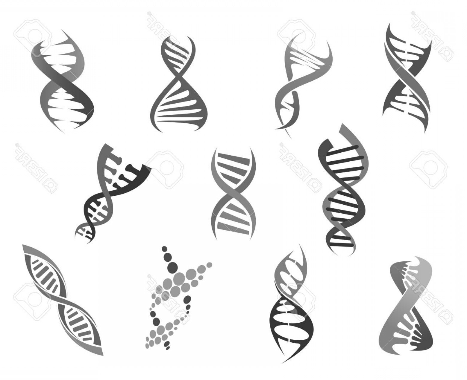 1560x1272 Dna Helix Vector Createmepink