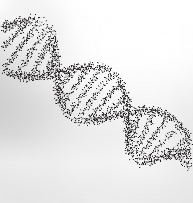 626x658 Dna Helix Vectors, Photos And Free Download