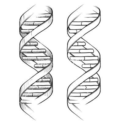 380x400 Doodle Dna Double Helix Vector