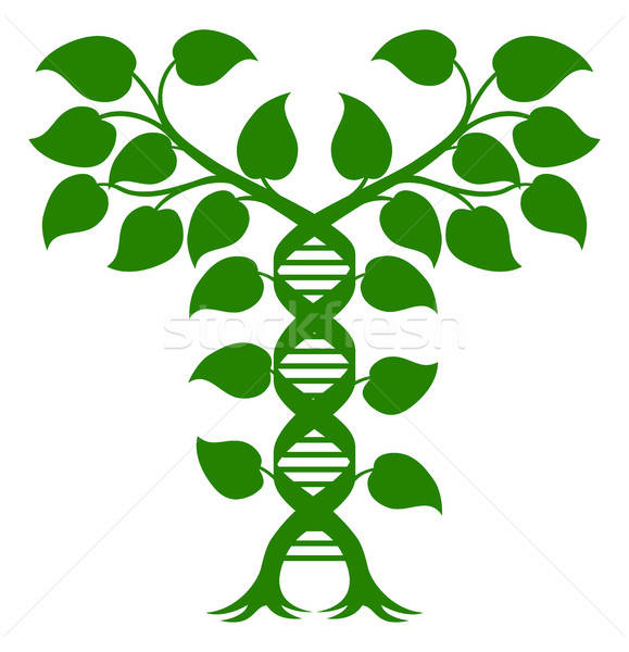 579x600 Helix Stock Vectors, Illustrations And Cliparts Stockfresh