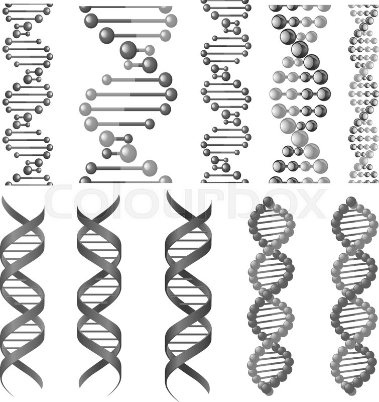 755x800 Dna Or Rna Helix Vector Isolated Stock Vector Colourbox