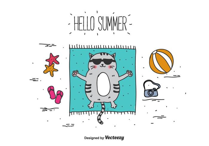 700x490 Hello Summer Vector Background