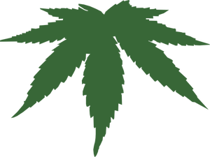 Hemp Leaf Vector