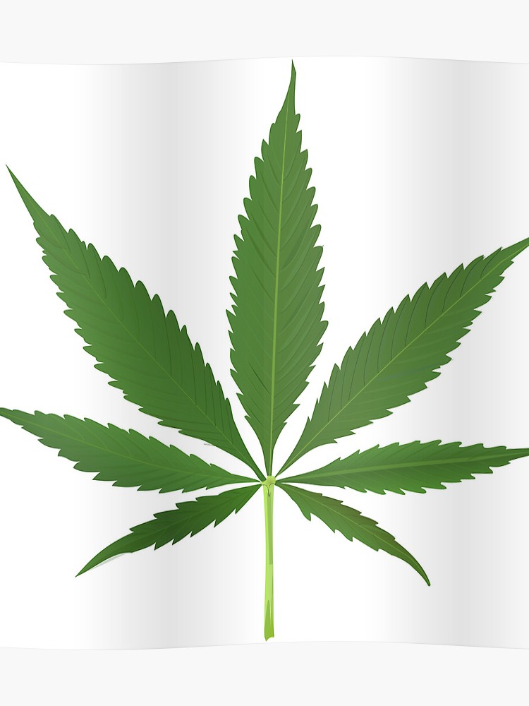 750x1000 Cannabis Leaf Vector Poster