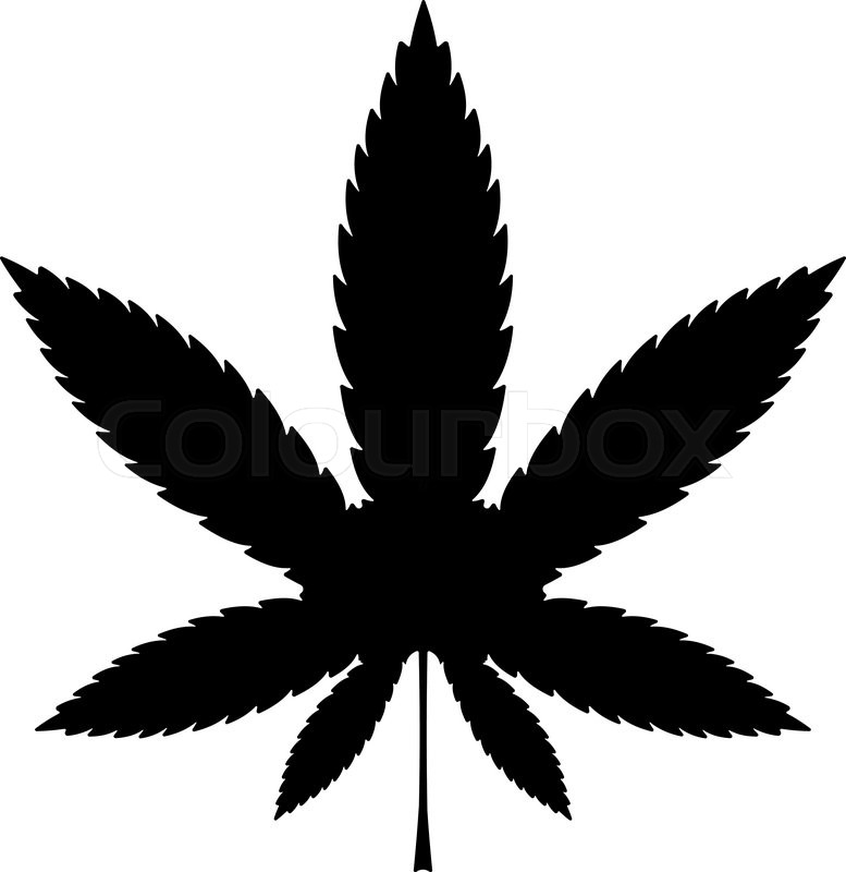 777x800 Cannabis Or Marijuana Leaf Black Stock Vector Colourbox