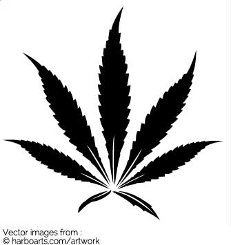 335x355 Download Hemp Leaf