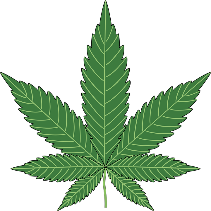 721x720 Marijuana Leaf Vector Png