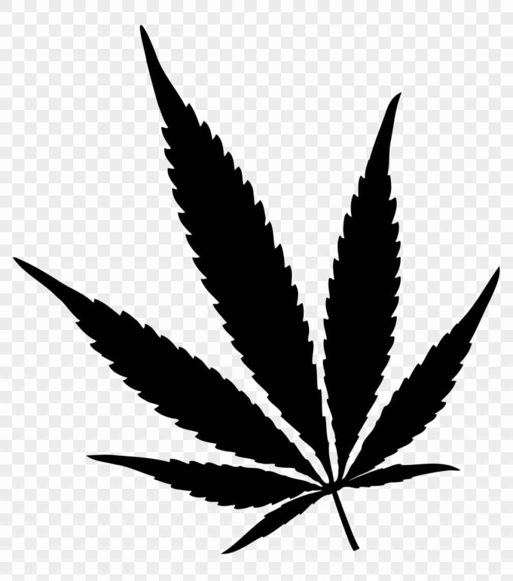 1008x1141 Mhiiagzdpot Leaf Vector Black And White Soidergi