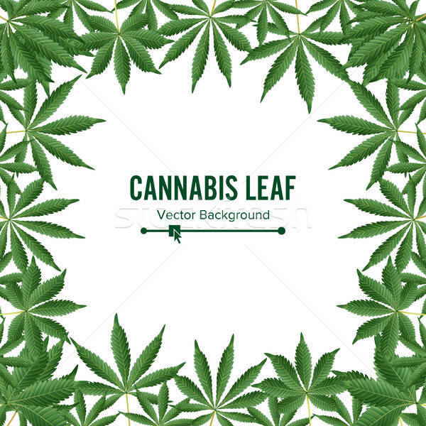600x600 Cannabis Background Vector Marijuana Frame Green Leaf Vector
