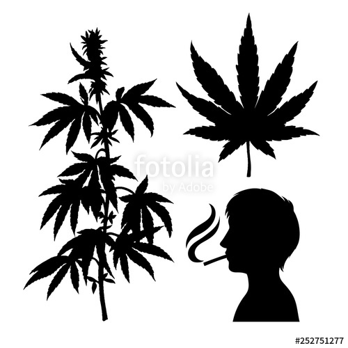 500x500 Silhouettes Of Hemp Smoking Person Cannabis Leaf Vector
