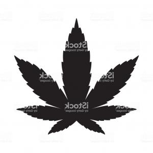300x300 Stock Vector Cannabis Marijuana Hemp Leaf Vector Illustration