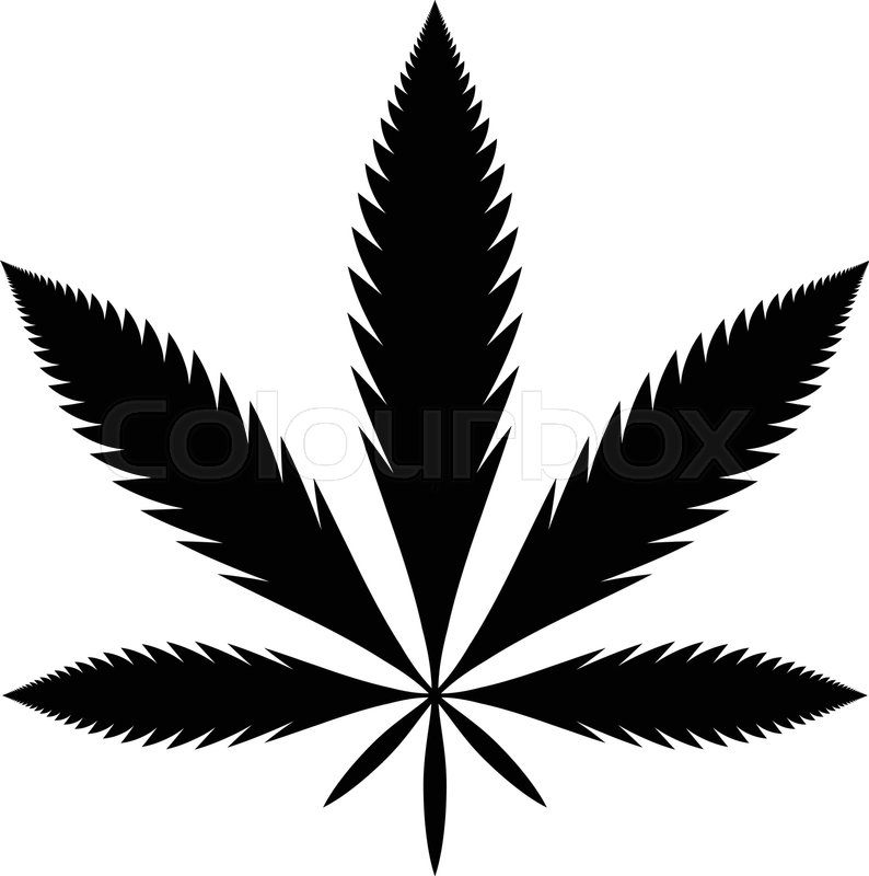 794x800 Stylized Green Marijuana Pot Weed Leaf Stock Vector Colourbox