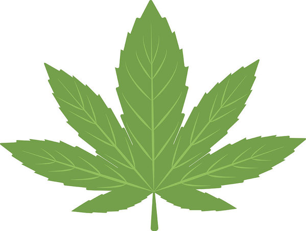 599x452 Cannabis Marijuana Leaf Vector Illustration Art Print