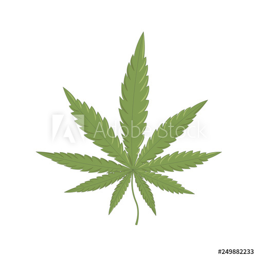 157 Cannabis vector images at Vectorified.com