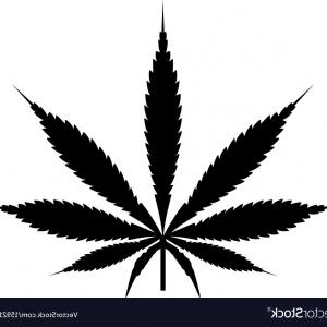 300x300 Marijuana Or Cannabis Leaf Icon Logo Vector Hoodamathrun
