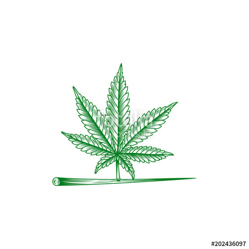 500x500 Marijuana Leaf, Cannabis Logo Vector Illustration For Logo Design