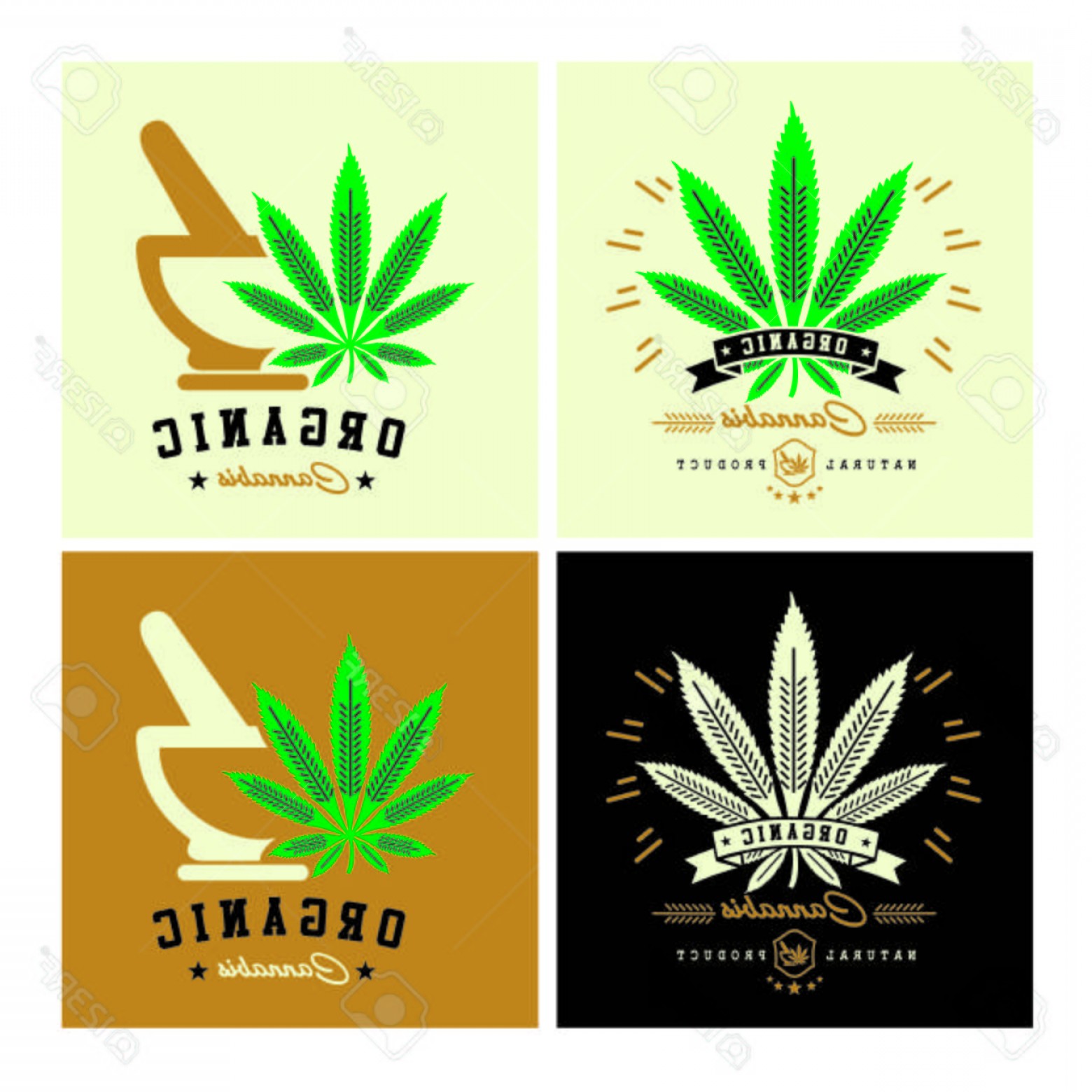 1560x1560 Photostock Vector Marijuana Cannabis Logo Graphics Savoyuptown