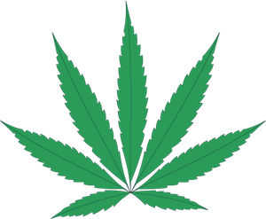 300x247 Cannabis Logo Vector