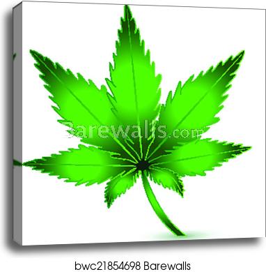 382x390 Cannabis Marijuana Plant Icon Logo Vector, Canvas Print