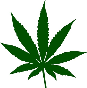365x368 Cannabis Free Vector Download