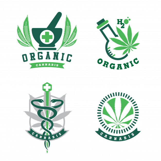 626x626 Cannabis Logo Vector Premium Download