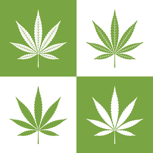 612x612 Free Collection Of Weed Clipart Vector Download Transparent Clip